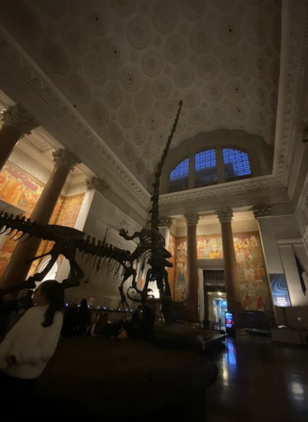 American Museum of Natural History